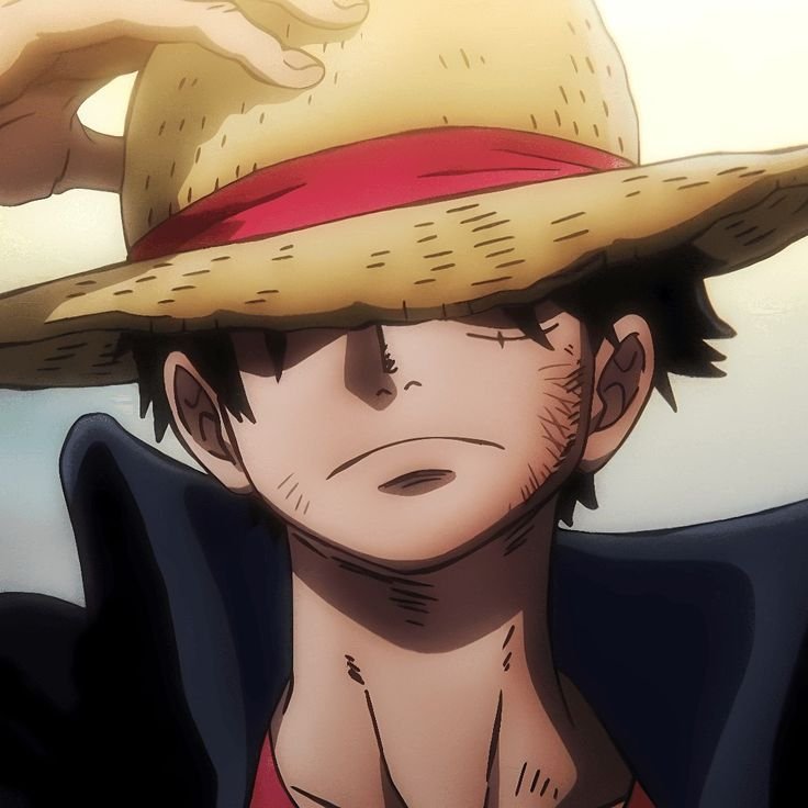 Monkey D. Luffy — Image 27